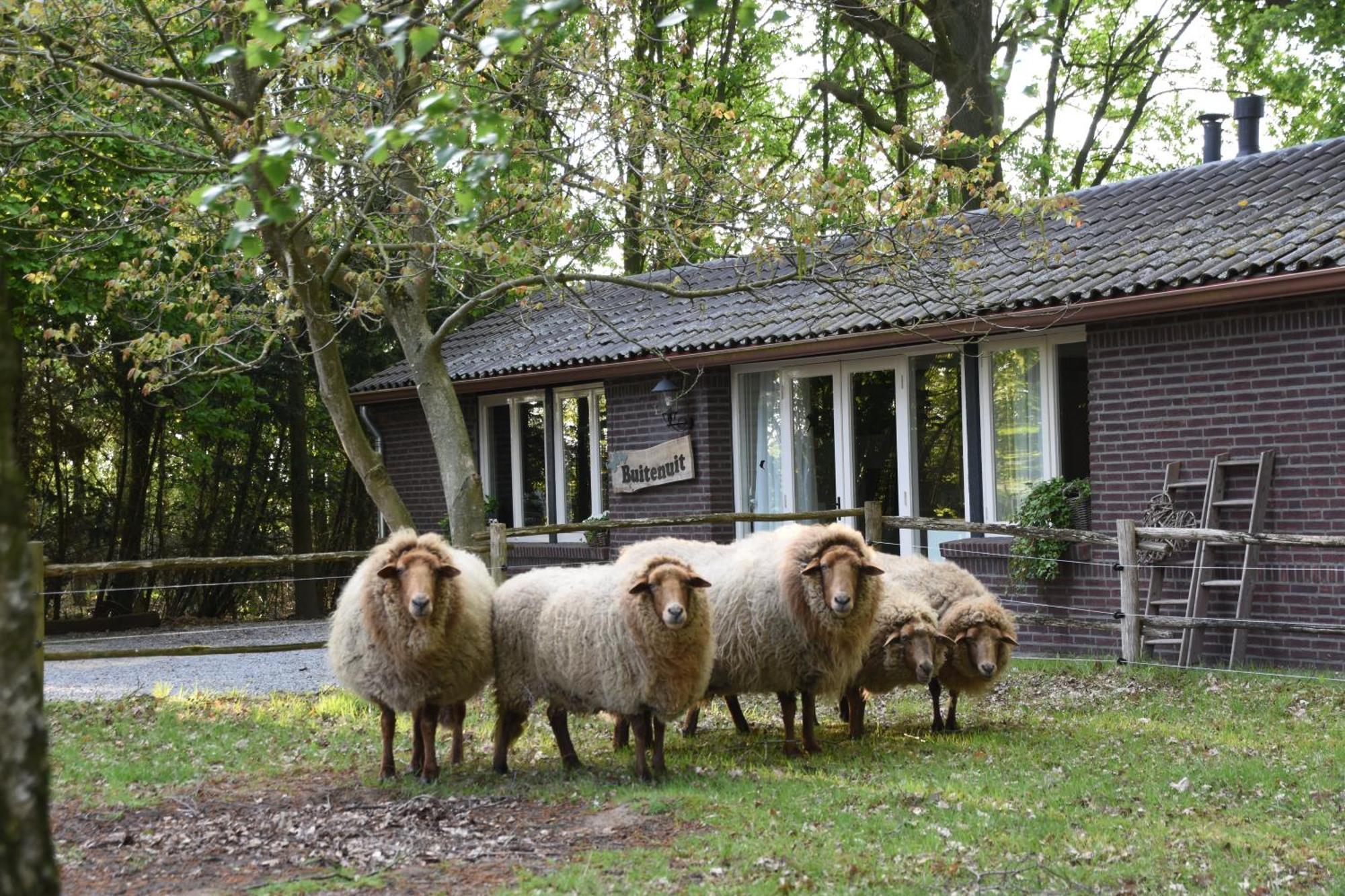 Buitenuit Boxtel